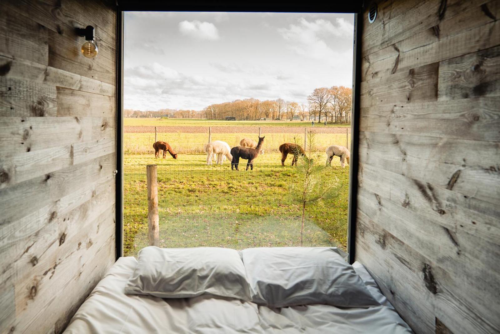In De Hei Bed & Breakfast Mariahout Exterior foto